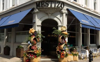 Chelsea in Bloom